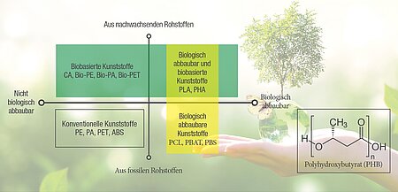 csm_PIAE_Banner_2025_ROMIRA_GmbH_ea62b301b6