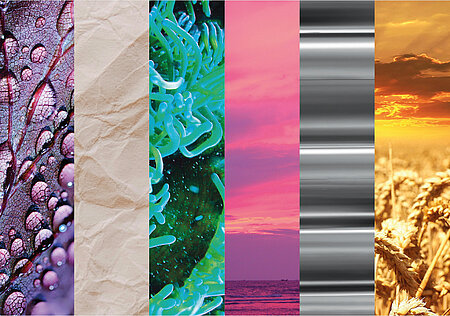 csm_PIAE_Banner_2025_ROMIRA_GmbH_ea62b301b6