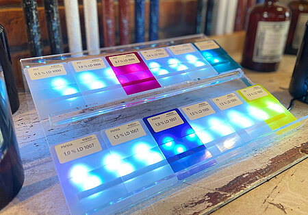 csm_PIAE_Banner_2025_ROMIRA_GmbH_ea62b301b6